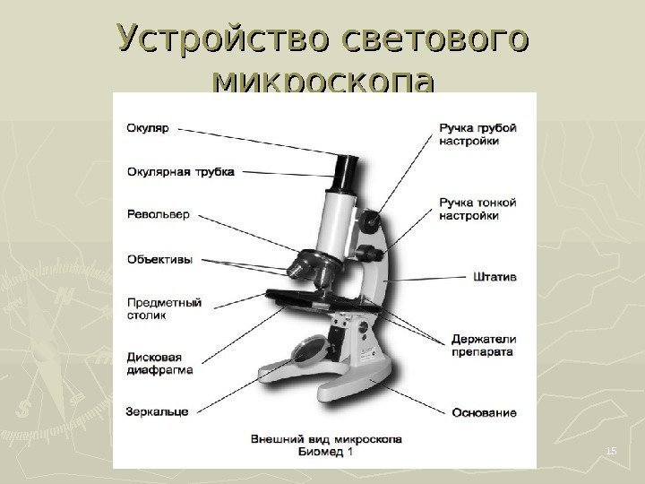 Устройство светового микроскопа 15 