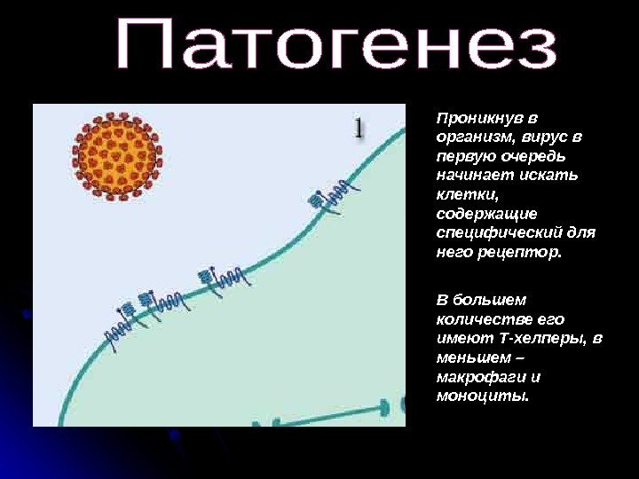  Проникнув в организм, вирус в первую очередь начинает искать клетки,  содержащие специфический