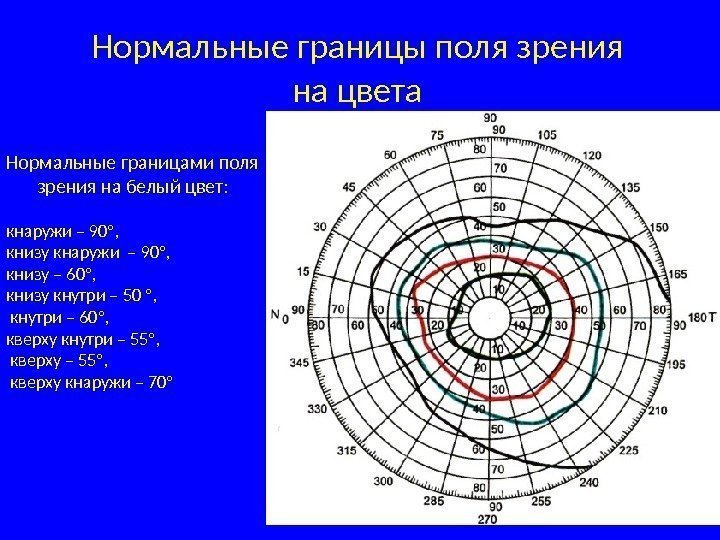 Нормальные границы поля зрения на цвета Нормальные границами поля зрения на белый цвет: кнаружи