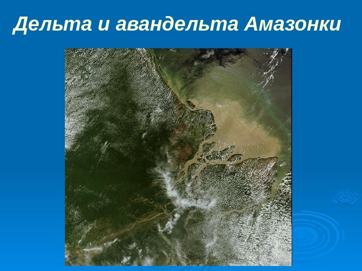 Дельта и авандельта Амазонки космоснимок 