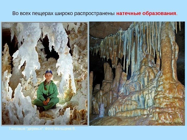 Гипсовые деревья. Фото Мальцева В.  Во всех пещерах широко распространены натечные образования. 