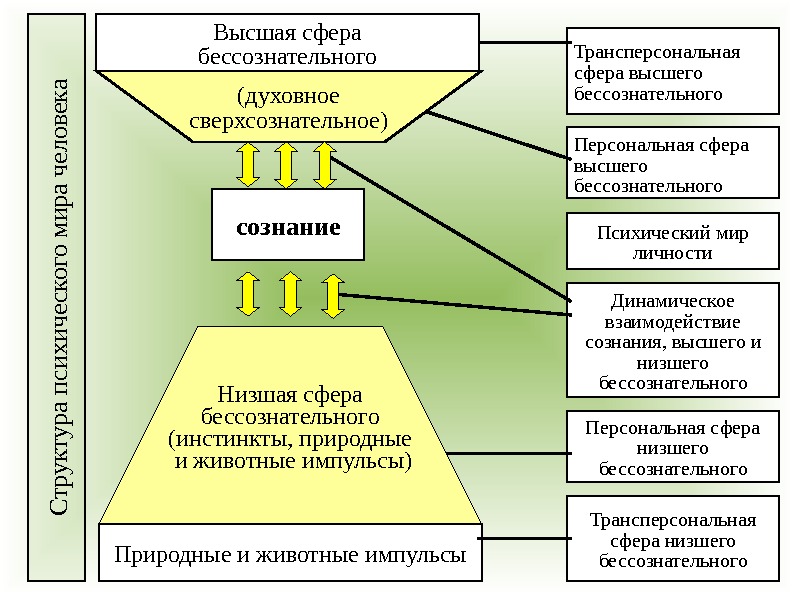 Персональная сфера высшего бессознательного Психический мир личности Трансперсональная сфера низшего бессознательного. Персональная сфера низшего