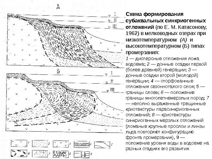 Схема формирования  субаквальных синкриогенных отложений (по Е. М. Катасонову,  1962) в мелководных