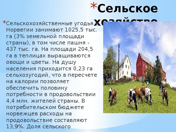 * Сельское хозяйство* Сельскохозяйственные угодья в Норвегии занимают 1025, 5 тыс.  га (3