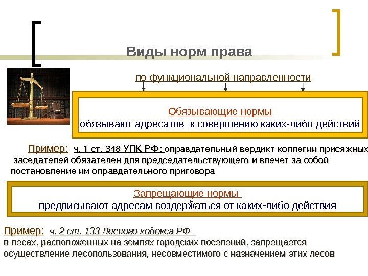 Виды норм права по функциональной направленности Пример: ч. 2 ст. 133 Лесного кодекса РФ