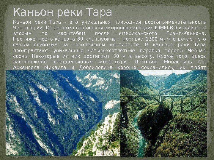 Каньон реки Тара – это уникальная природная достопримечательность Черногории. Он занесен в список всемирного