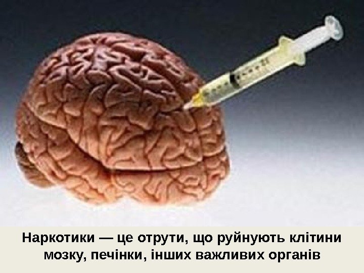 Наркотики — це отрути, що руйнують клітини мозку, печінки, інших важливих органів 
