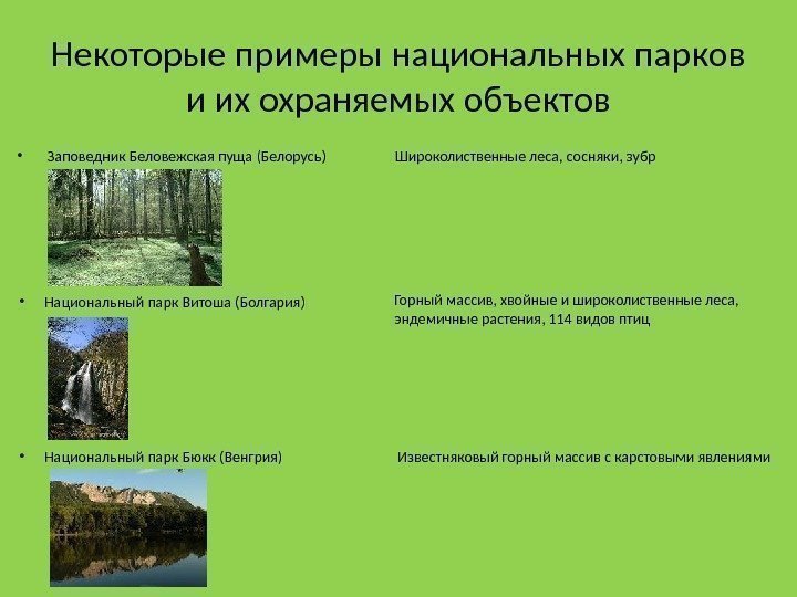Некоторые примеры национальных парков и их охраняемых объектов • Заповедник Беловежская пуща (Белорусь) Широколиственные
