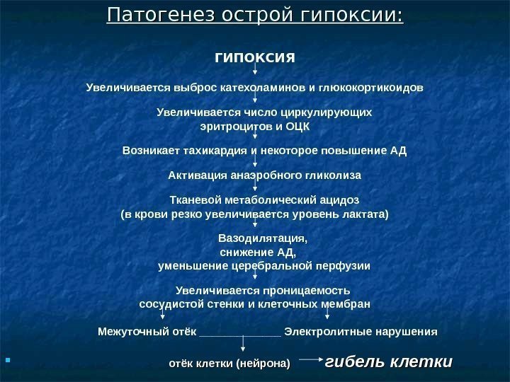 Патогенез острой гипоксии: ГИПОКСИЯ Увеличивается выброс катехоламинов и глюкокортикоидов Увеличивается число циркулирующих эритроцитов и