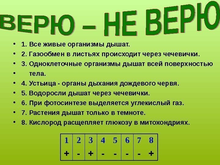  • 1. Все живые организмы дышат.  • 2. Газообмен в листьях происходит