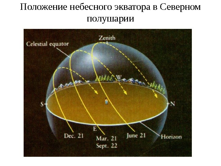 Положение небесного экватора в Северном полушарии 