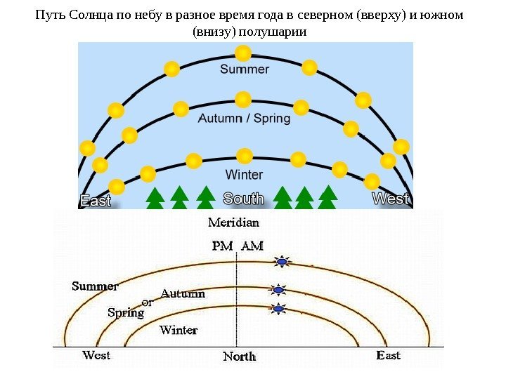 Путь Солнца по небу в разное время года в северном (вверху) и южном (внизу)