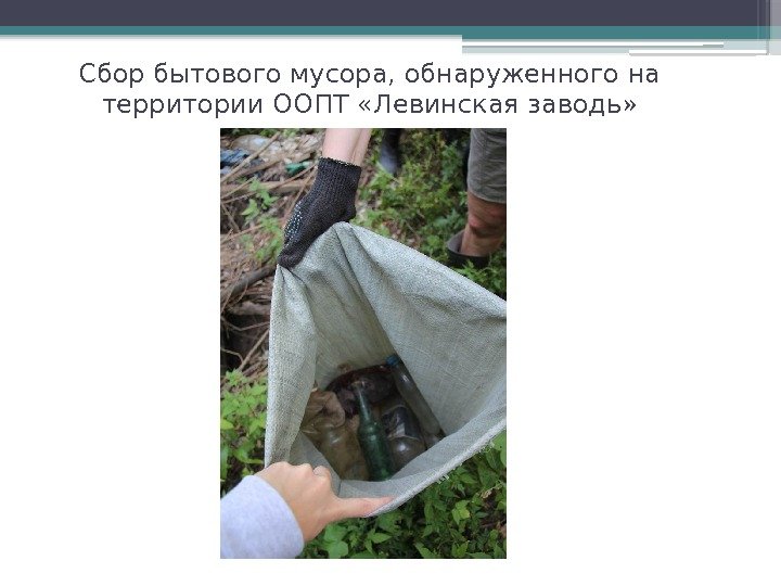 Сбор бытового мусора, обнаруженного на территории ООПТ «Левинская заводь»    