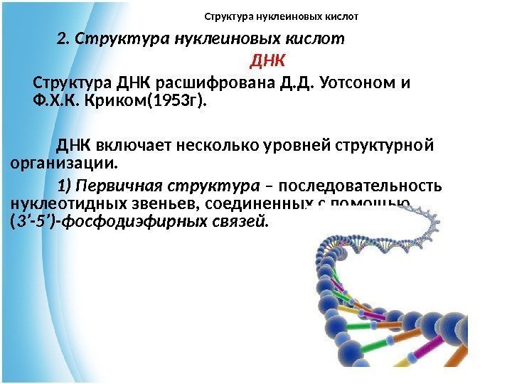 Структура нуклеиновых кислот 2. Структура нуклеиновых кислот ДНК  Структура ДНК расшифрована Д. Д.