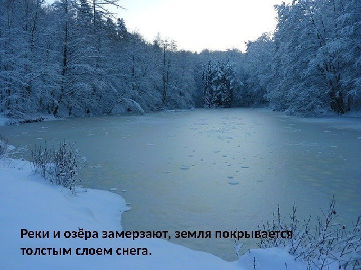 Реки и озёра замерзают, земля покрывается толстым слоем снега.  