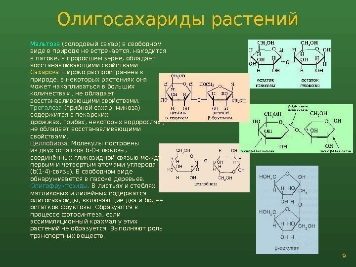 Олигосахариды растений 9 Мальтоза (солодовый сахар) в свободном виде в природе не встречается, находится