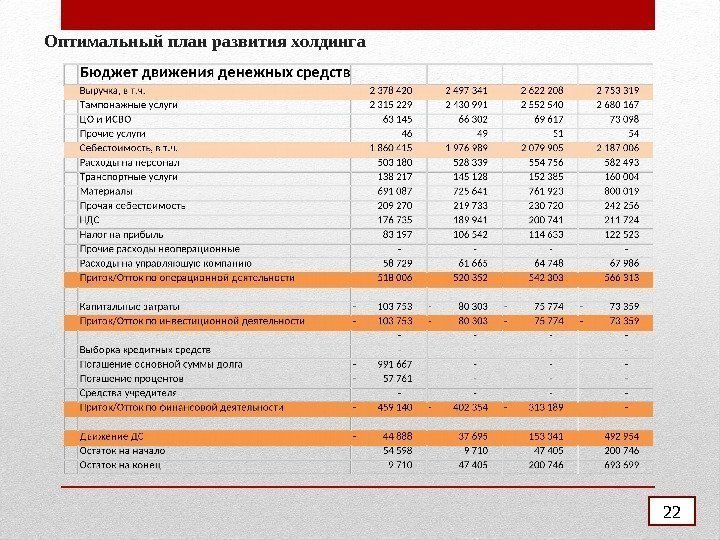 Оптимальный план развития холдинга 22 