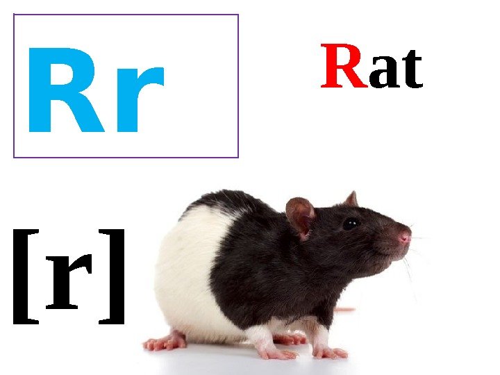 [r]  R at Rr 