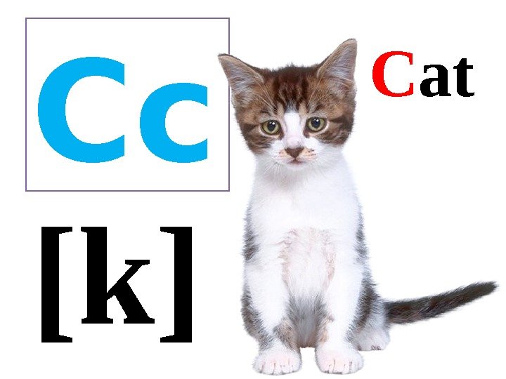 Cc [k]  C at 