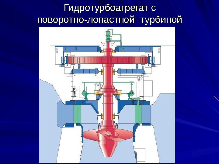 Гидротурбоагрегат с поворотно-лопастной турбиной 