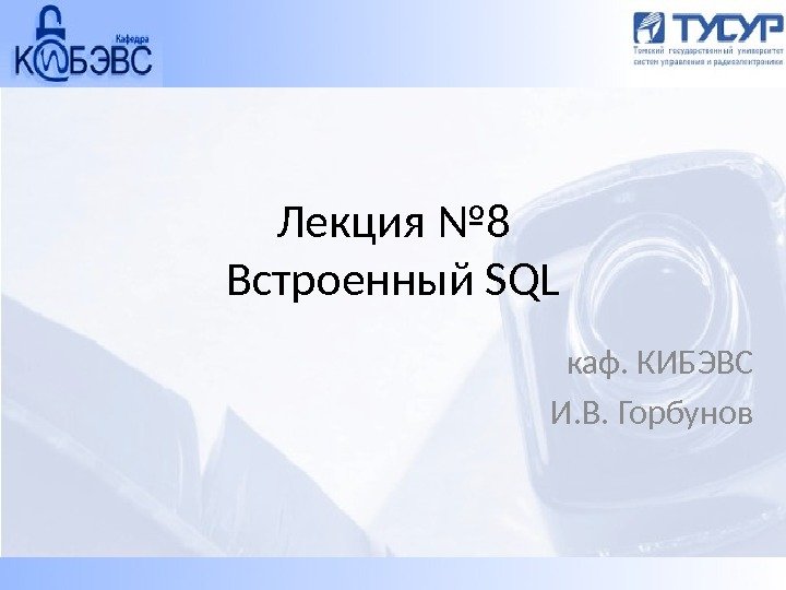 Лекция № 8 Встроенный SQL каф. КИБЭВС И. В. Горбунов 