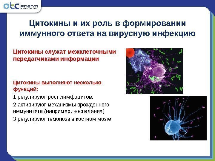 Цитокины и их роль в формировании иммунного ответа на вирусную инфекцию Цитокины служат межклеточными