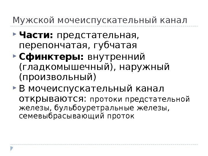 Мужской мочеиспускательный канал Части:  предстательная,  перепончатая, губчатая Сфинктеры:  внутренний (гладкомышечный), наружный