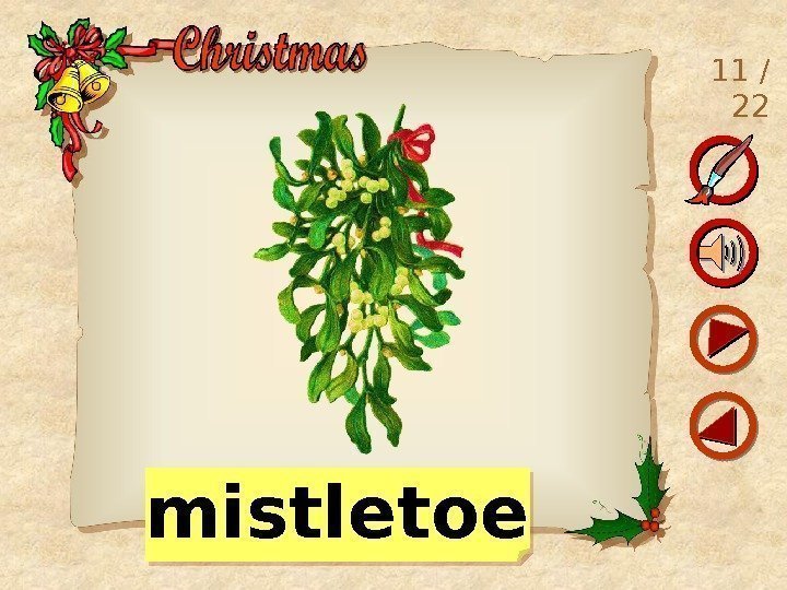 11 / 22 mistletoe 07 