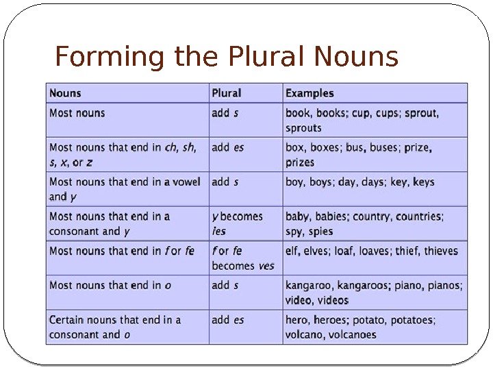Forming the Plural Nouns 
