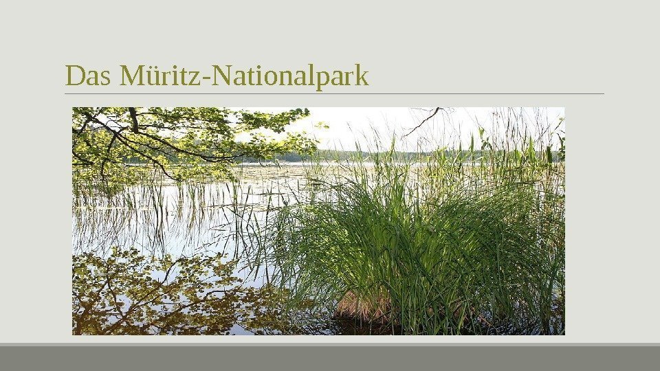 Das Müritz-Nationalpark 