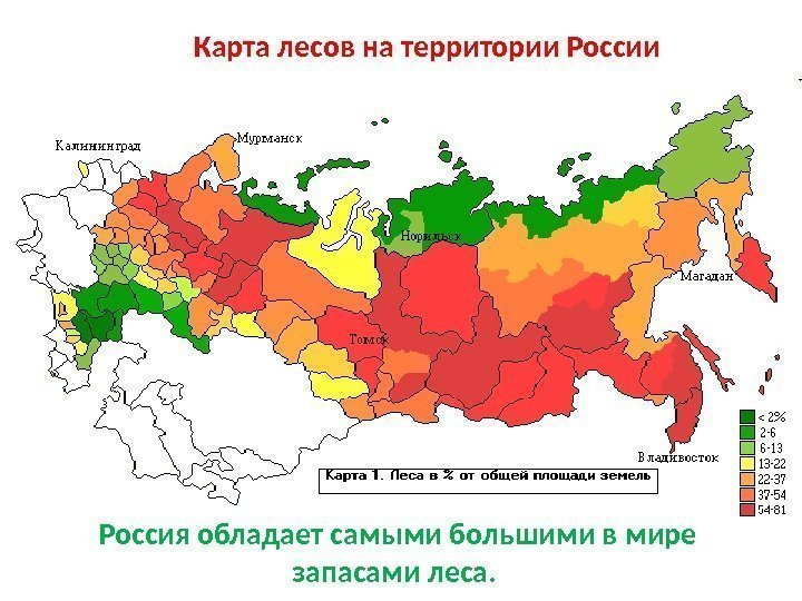 Карта лесов на территории Россия обладает самыми большими в мире запасами леса.  