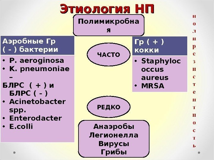 Этиология НП Аэробные Гр ( - ) бактерии • Р.  aeroginosa • K.