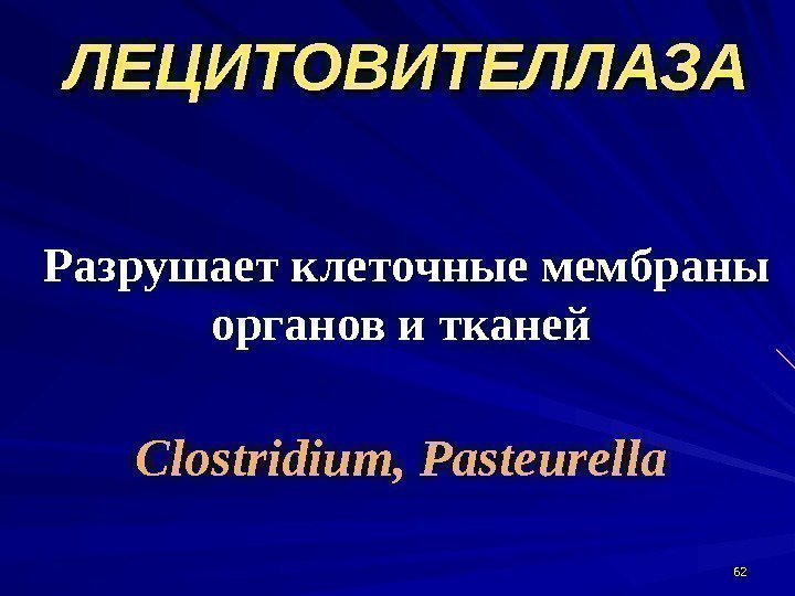 ЛЕЦИТОВИТЕЛЛАЗА 6262 Разрушает клеточные мембраны органов и тканей Clostridium, Pasteurella  