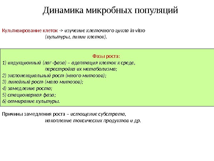 Культивирование клеток - изучение клеточного цикла in vitro (культуры, линии клеток). Фазы роста: 