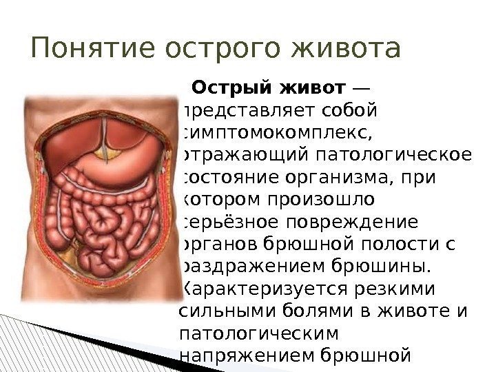   Острый живот — представляет собой симптомокомплекс,  отражающий патологическое состояние организма, при