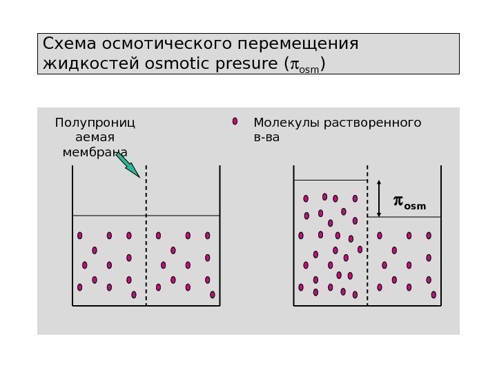  osm. Полупрониц аемая мембрана. Схема осмотического перемещения жидкостей osmotic presure ( osm )