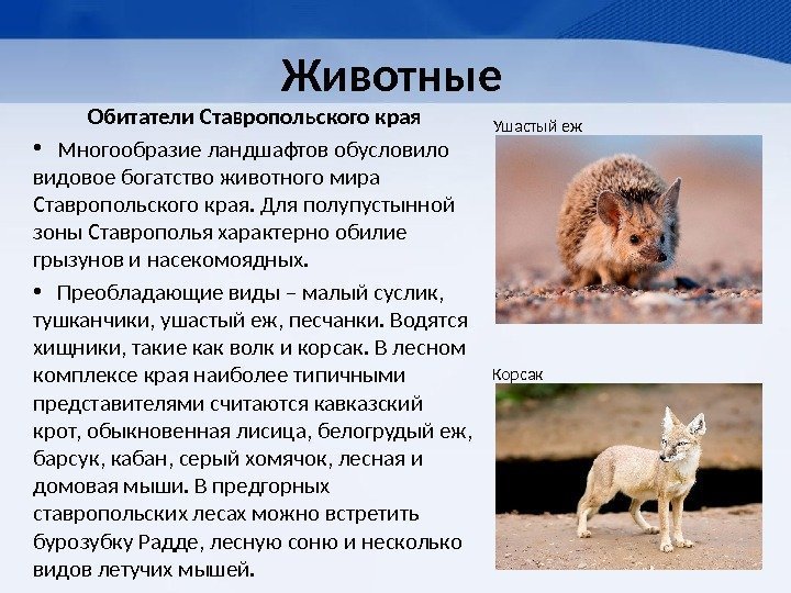 Животные  Обитатели Ставропольского края • Многообразие ландшафтов обусловило видовое богатство животного мира Ставропольского
