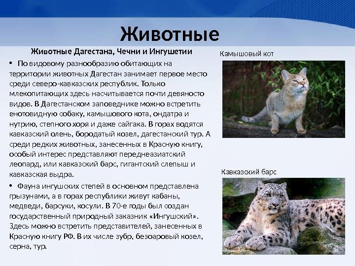 Животные Дагестана, Чечни и Ингушетии • По видовому разнообразию обитающих на территории животных Дагестан