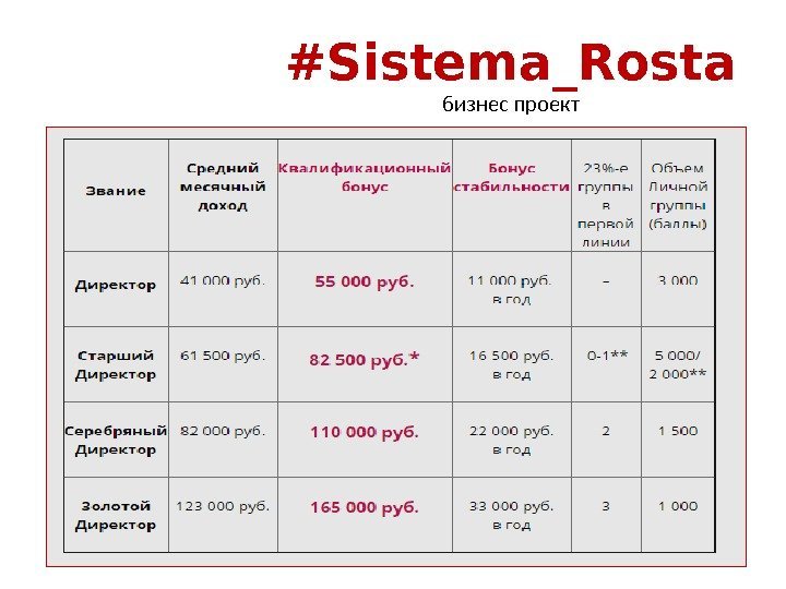#Sistema_Rosta бизнес проект 