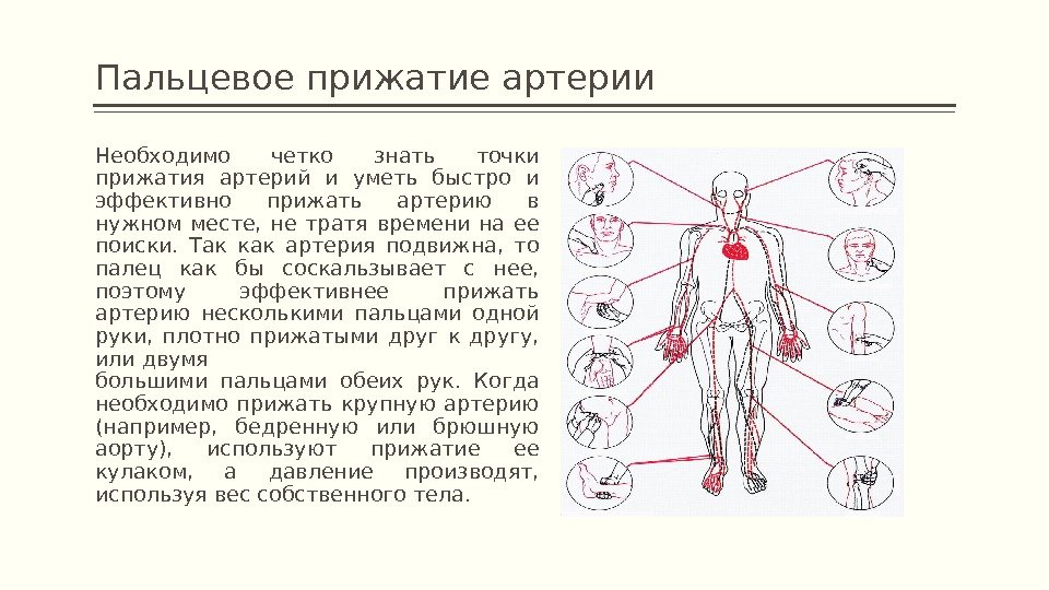 Пальцевое прижатие при повреждении бедренной артерии