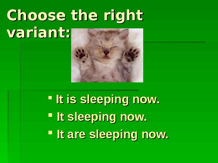  Choose the right variant: It is sleeping now. It are sleeping now. 