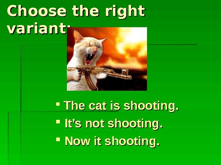   Choose the right variant: The cat is shooting. It’s not shooting. 