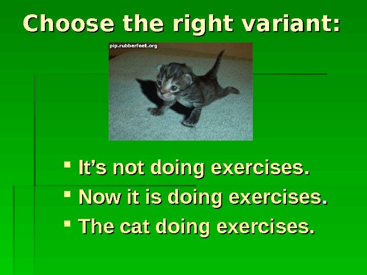   Choose the right variant: It’s not doing exercises. Now it is doing