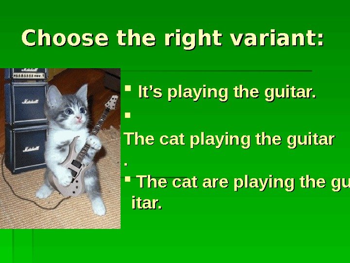   Choose the right variant: It’s playing the guitar. The cat playing the