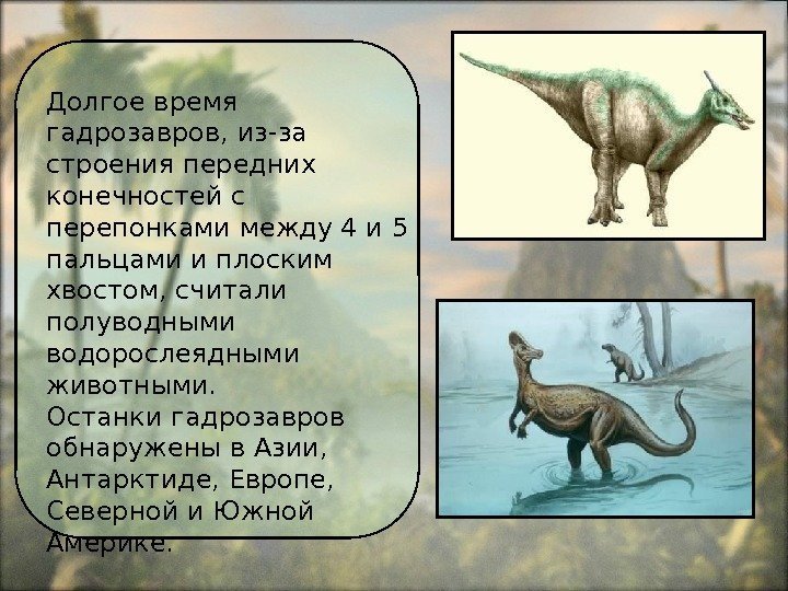Долгое время гадрозавров, из-за строения передних конечностей с перепонками между 4 и 5 пальцами