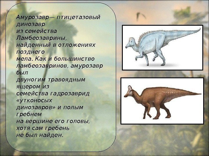 Амурозавр— птицетазовый динозавр из семейства Ламбеозаврины,  найденный в отложениях позднего мела. Как и