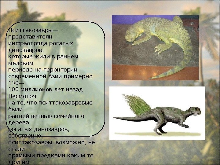 Пситтакозавры— представители инфраотряда рогатых динозавров,  которые жили в раннем меловом периоде на территории
