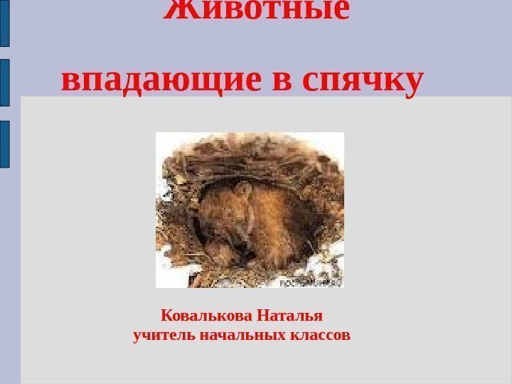 Животные впадающие в спячку   Ковалькова Наталья учитель начальных классов  