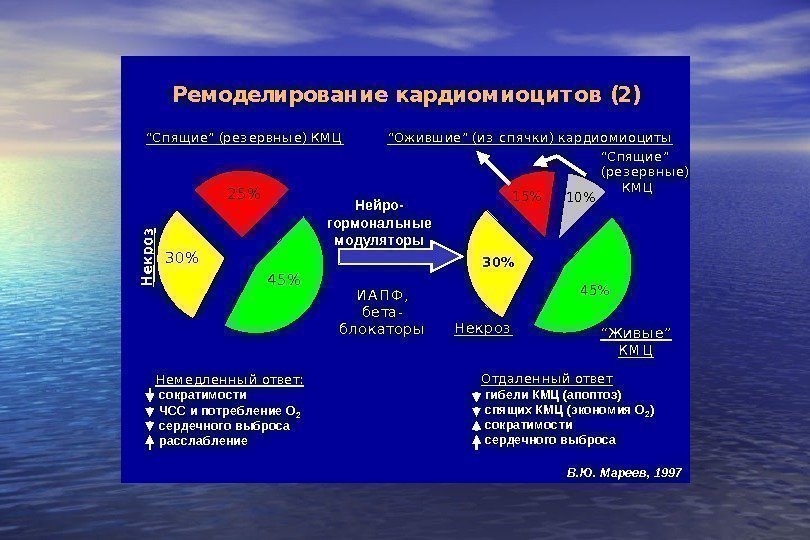   Рем оделированиекардиом иоцит ов(2) 30 1510 45 “О жи вш и е