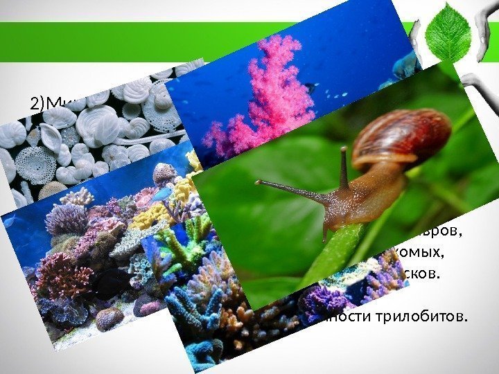 Средняя образовательная школа № 49